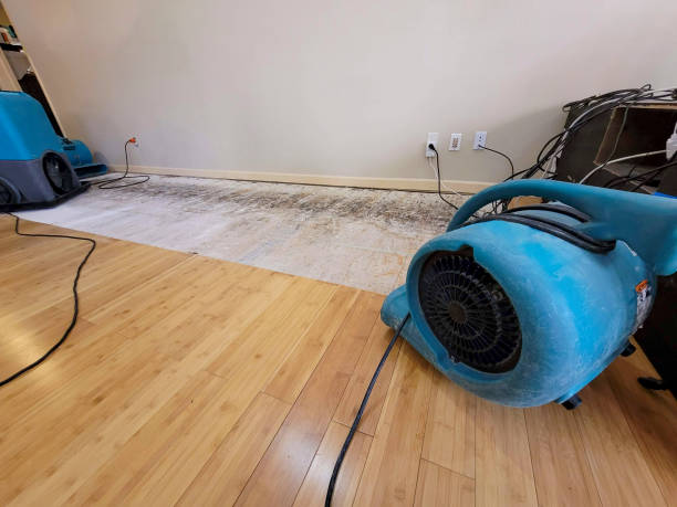 Professional Water Damage Repair technician working in Edgewood, IN
